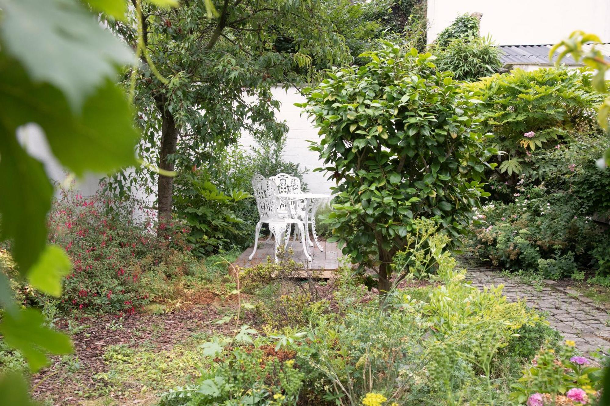 The Greenhouse Antwerpen Eksteriør billede